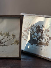 Load image into Gallery viewer, Pair of 19th century herbiers