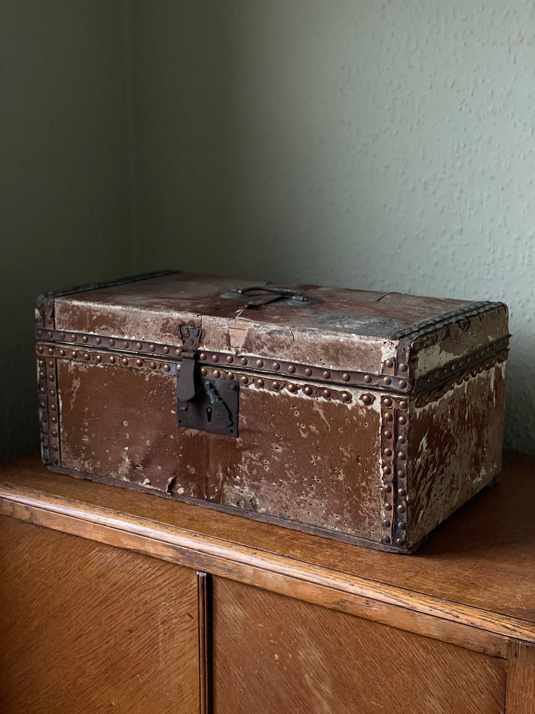 Antique Victorian pony hide box