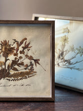 Load image into Gallery viewer, Pair of 19th century herbiers