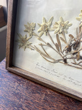 Load image into Gallery viewer, Pair of 19th century herbiers